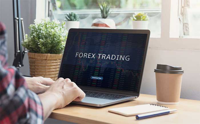 Explore Forex Trading with CRM